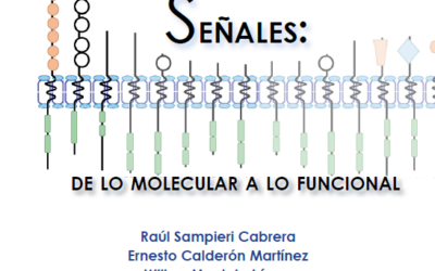 Transducción de señales: de lo molecular a lo funcional